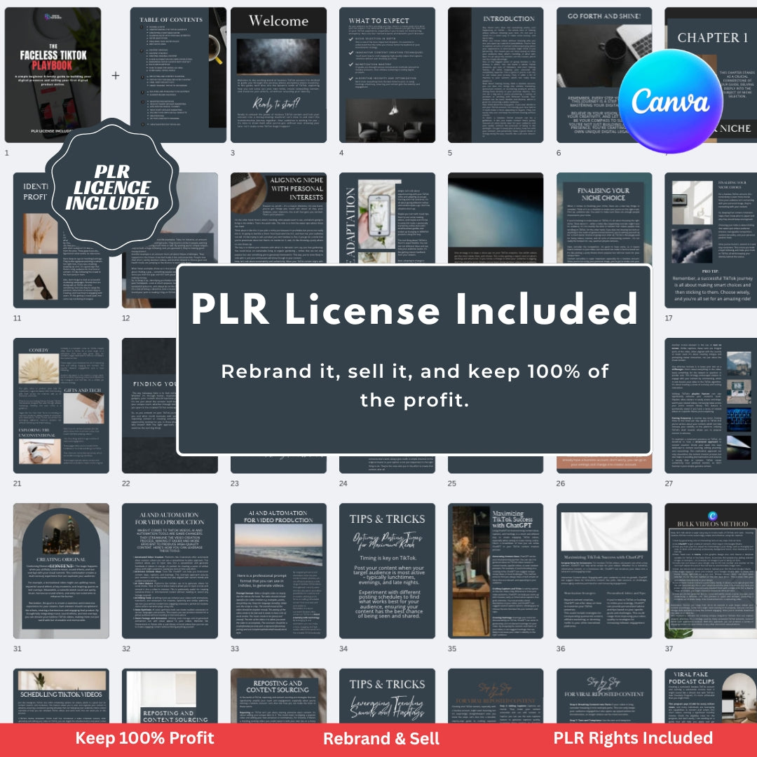 The Faceless TikTok Playbook